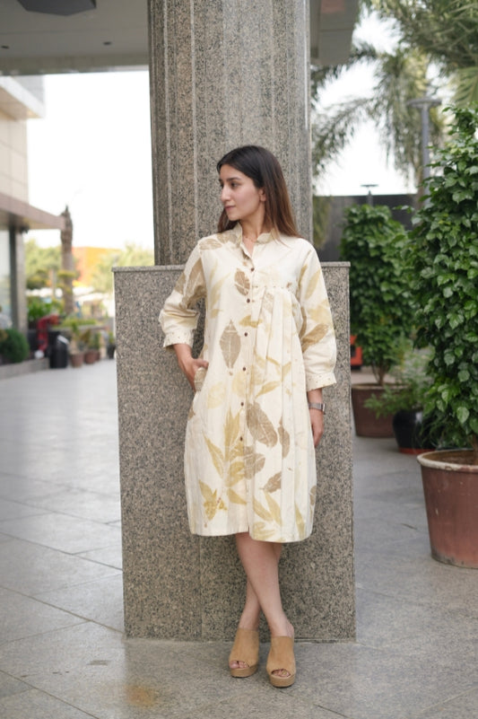 Leaffall Adress Symmetry